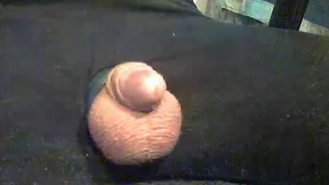 H4rdcock online show from March 27, 1:12 pm