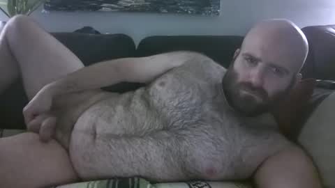 Hairiest Bear online show from March 30, 8:48 am