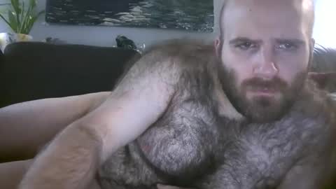 Hairiest Bear online show from December 20, 6:53 am