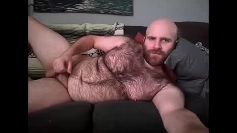Hairiest Bear online show from February 9, 2:11 pm