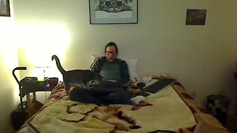 hammerthatthang73 online show from November 25, 8:38 am