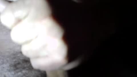 hammertime981 online show from January 3, 1:47 pm