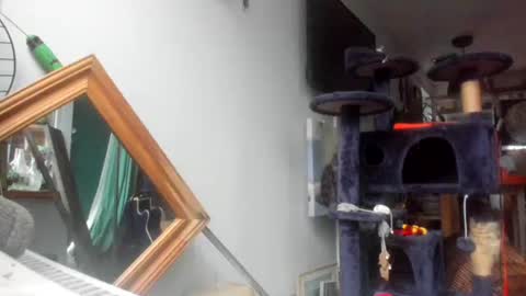 Snapshot of handncocknocum chatting on February 7, 7:40 am handncocknocum online show from February 7, 7:40 am