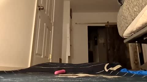 Handydick7373 online show from May 24, 4:07 am