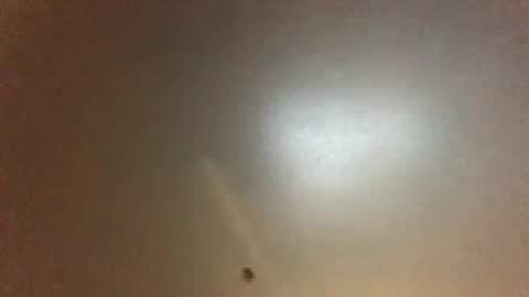 For You online show from April 17, 7:33 am