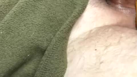 hardhotsummer online show from December 1, 6:22 pm