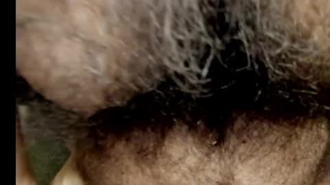 harry_banana online show from December 17, 10:43 pm