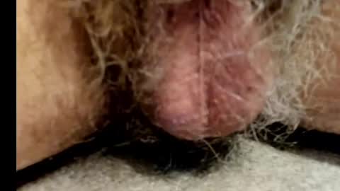 harry_banana online show from December 17, 8:56 am