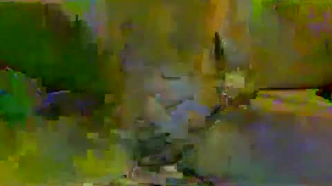 harryhavana online show from February 11, 7:44 am