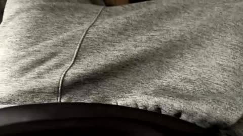 higheguy online show from February 16, 8:18 pm