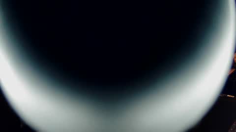 just daddy will do online show from December 19, 3:07 am