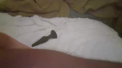 Tom de Reina online show from October 13, 12:33 pm