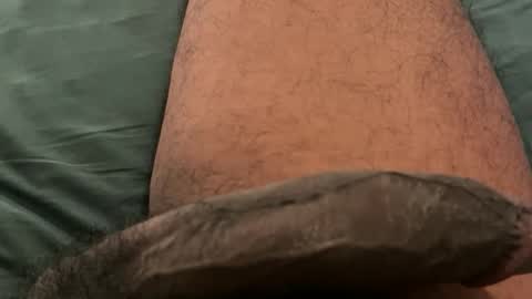 Bbc horsey online show from February 23, 2:13 am