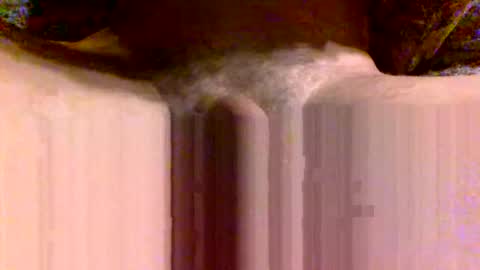 hostal1290 online show from November 4, 11:55 am