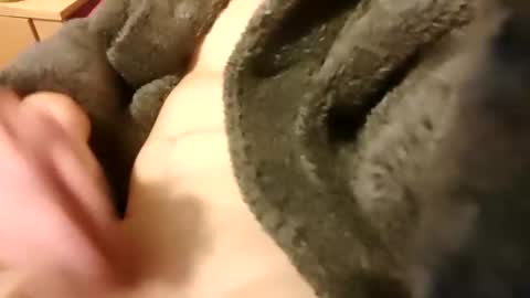 Snapshot of hotboy69735953 chatting on January 17, 9:10 pm hotboy69735953 online show from January 17, 9:10 pm