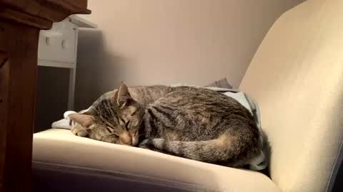 hottiewithabody101 online show from February 11, 2:44 pm