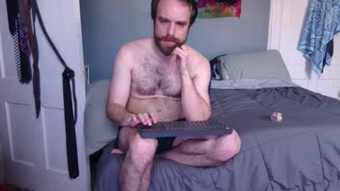 Pilgrim online show from March 2, 2:24 pm