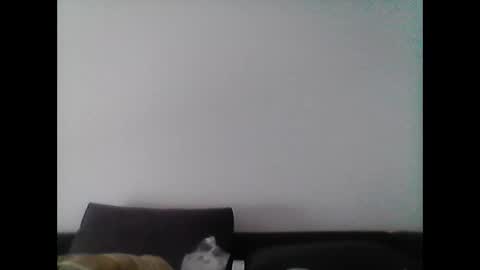 hubikush22 online show from February 25, 3:27 pm