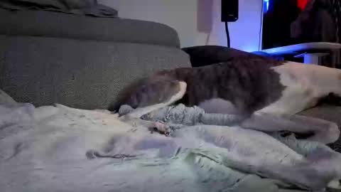Snapshot of hugolandcam chatting on March 10, 8:12 pm Hugo online show from March 10, 8:12 pm