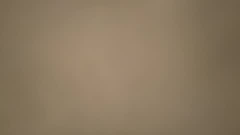 Morvoys online show from November 6, 5:38 pm