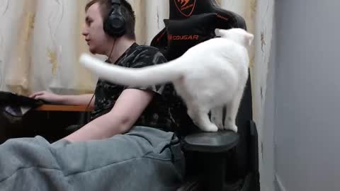 lord online show from November 6, 12:30 pm