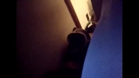 Freakyroofer online show from December 23, 9:40 am