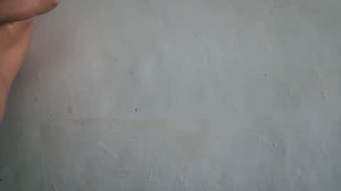 imanimal online show from December 12, 9:51 am