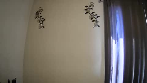 Majordadbod101 online show from February 25, 4:00 pm