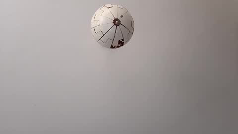 G. Teaser online show from November 7, 10:29 am