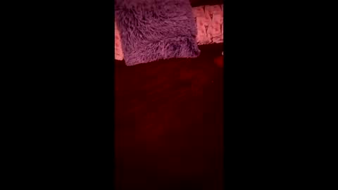 Ral online show from April 24, 7:44 am