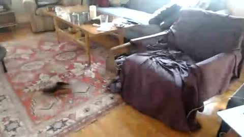 Snapshot of j_acquassanta chatting on October 20, 10:35 pm j_acquassanta online show from October 20, 10:35 pm