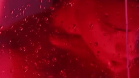 i am juan musiry independent model  online show from November 22, 12:05 pm