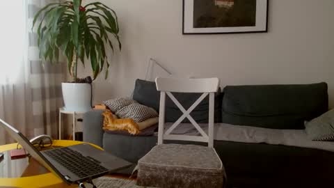 jacek___1 online show from February 27, 9:10 am