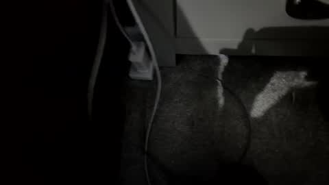 Snapshot of jamesfilmer699 chatting on October 4, 11:48 am jamesfilmer699 online show from October 4, 11:48 am