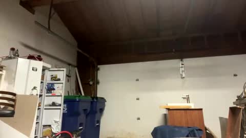 Jaws  online show from January 9, 7:31 am