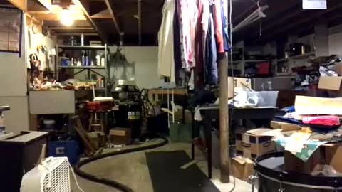 Jaws  online show from November 3, 7:59 pm