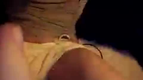Jaysobricked online show from August 7, 6:47 pm