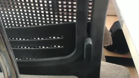 jc200000 online show from April 16, 5:24 pm