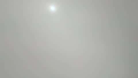 jcb2504 online show from November 4, 12:22 am