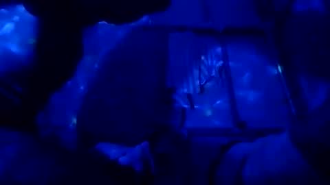 jcineylpnezy online show from October 19, 8:01 pm