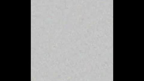 JcMax305 online show from September 11, 12:59 pm