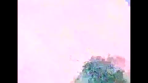 jejemotard online show from November 19, 12:10 am