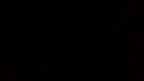 joeevanski online show from November 4, 1:45 pm