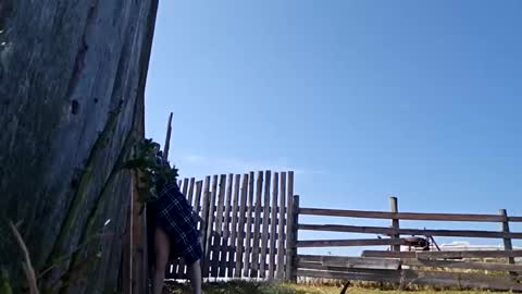 joshnewman540 online show from September 14, 6:54 pm