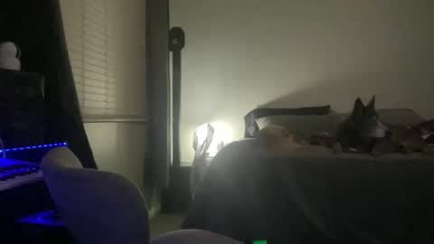 JustinCase online show from November 16, 12:18 pm