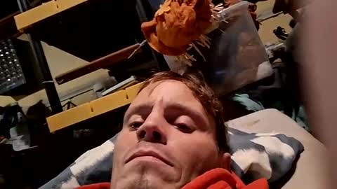 jveillette00p27 online show from November 12, 9:15 am