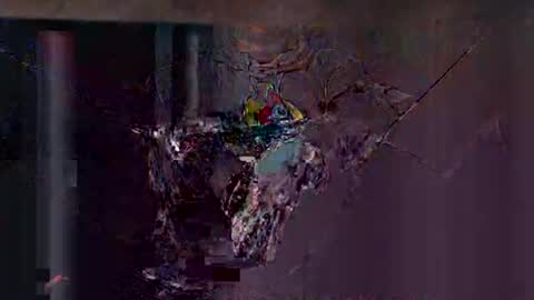 Karlos Montoya online show from February 1, 9:41 am