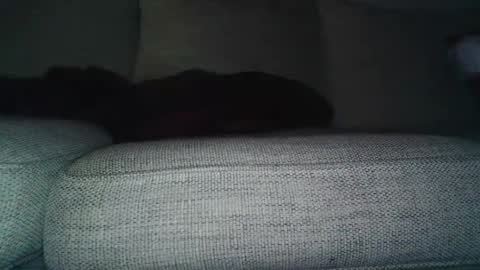 Sub online show from September 23, 5:40 am