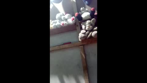 kevin_07279101 online show from March 4, 4:41 am