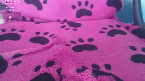 Kevin online show from February 20, 3:14 pm